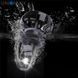 LED лампи автомобільні Focus Beam H1 вентилятор 3400Lm V 1+ / CREE / 35W / 6000K / IP68 / 12-24V 2шт 45592 фото 1
